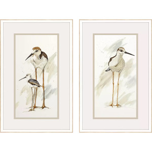 Stilt Birds S/2