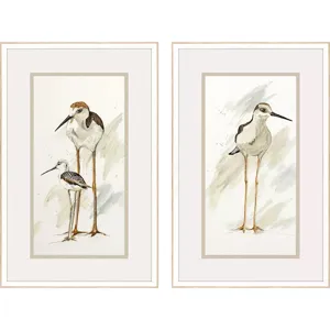 Stilt Birds S/2