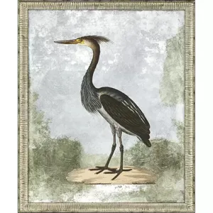 Cranes II S/2
