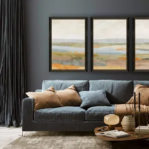 Sonoran I Framed Art