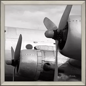Vintage Flight I Framed Art