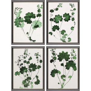 Forest Foliage S/4 Framed Art
