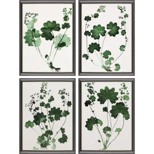 Forest Foliage S/4 Framed Art
