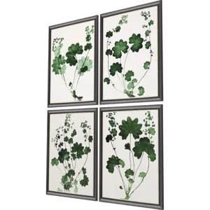 Forest Foliage S/4 Framed Art