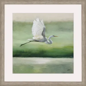 Flight Framed Art