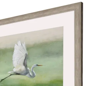Flight Framed Art