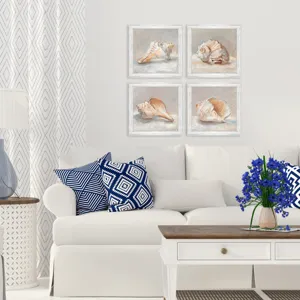 Shell Study S/4 Framed Art
