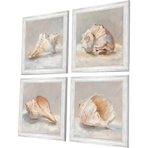 Shell Study S/4 Framed Art