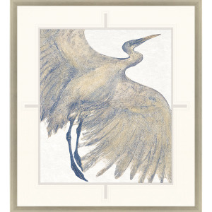 Plumage I Framed Art