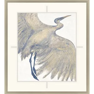 Plumage I Framed Art