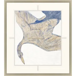 Plumage II Framed Art