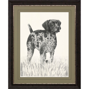 Canine Gaze Framed Art