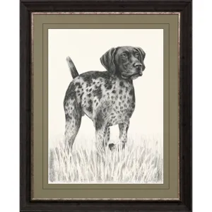 Canine Gaze Framed Art