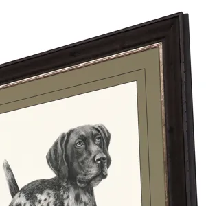 Canine Gaze Framed Art