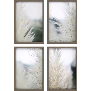 Subtle Grasses S/4 Framed Art