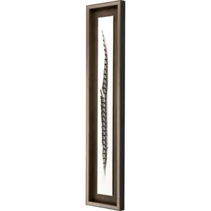 Lady Amhurst Feather Framed Art
