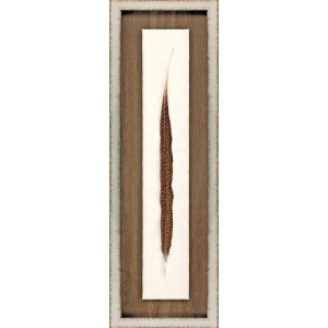 Pheasant Feather Framed Art