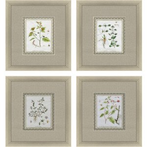 La Passerage II S/4 Framed Art