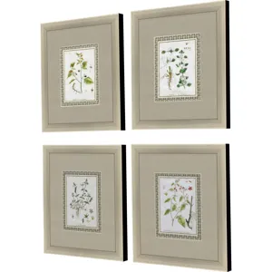La Passerage II S/4 Framed Art