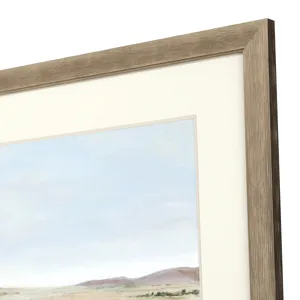 Arid Vista II Framed Art