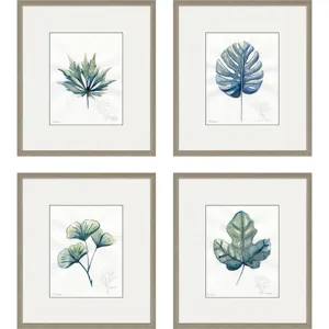 Plant Drawings S/4 Framed Art