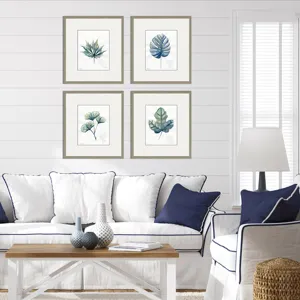 Plant Drawings S/4 Framed Art