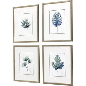 Plant Drawings S/4 Framed Art