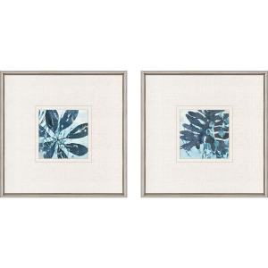 Water Palms II S/2 Framed Art
