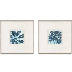 Water Palms II S/2 Framed Art