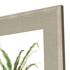 Fern House II Framed Art