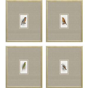 Here Birdie I S/4 Framed Art
