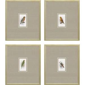 Here Birdie I S/4 Framed Art