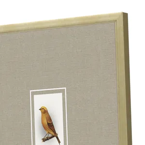 Here Birdie I S/4 Framed Art