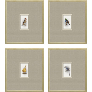 Here Birdie II S/4 Framed Art