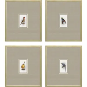 Here Birdie II S/4 Framed Art