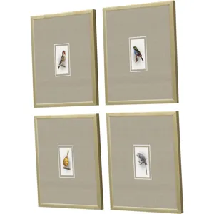 Here Birdie II S/4 Framed Art