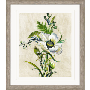 Sunny Day II Framed Art