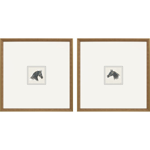 Equestrian Study S/2 Framed Art