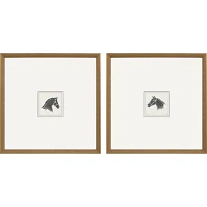 Equestrian Study S/2 Framed Art