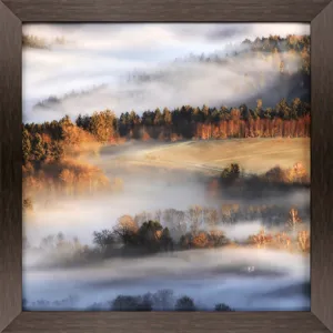 Reverie at Dawn Framed Art