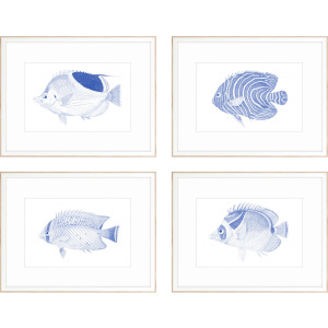 Blue Fish S/4 Framed Art