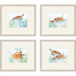 Sea Turtle Reef S/4 Framed Art
