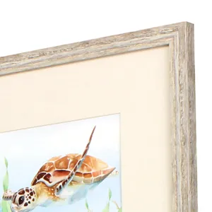 Sea Turtle Reef S/4 Framed Art