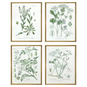 Assemblage S/4 Framed Art