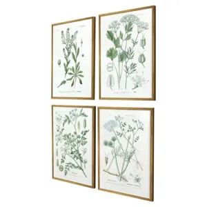 Assemblage S/4 Framed Art