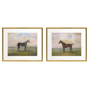 Equestrian II S/2 Framed Art