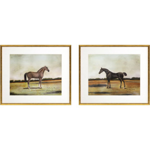 Equestrian III S/2 Framed Art