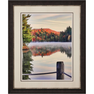 Brilliant Fall II Framed Art