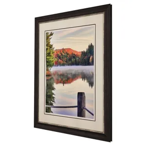 Brilliant Fall II Framed Art