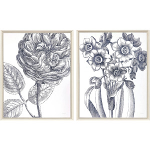 Belle Fleur I S/2 Framed Art